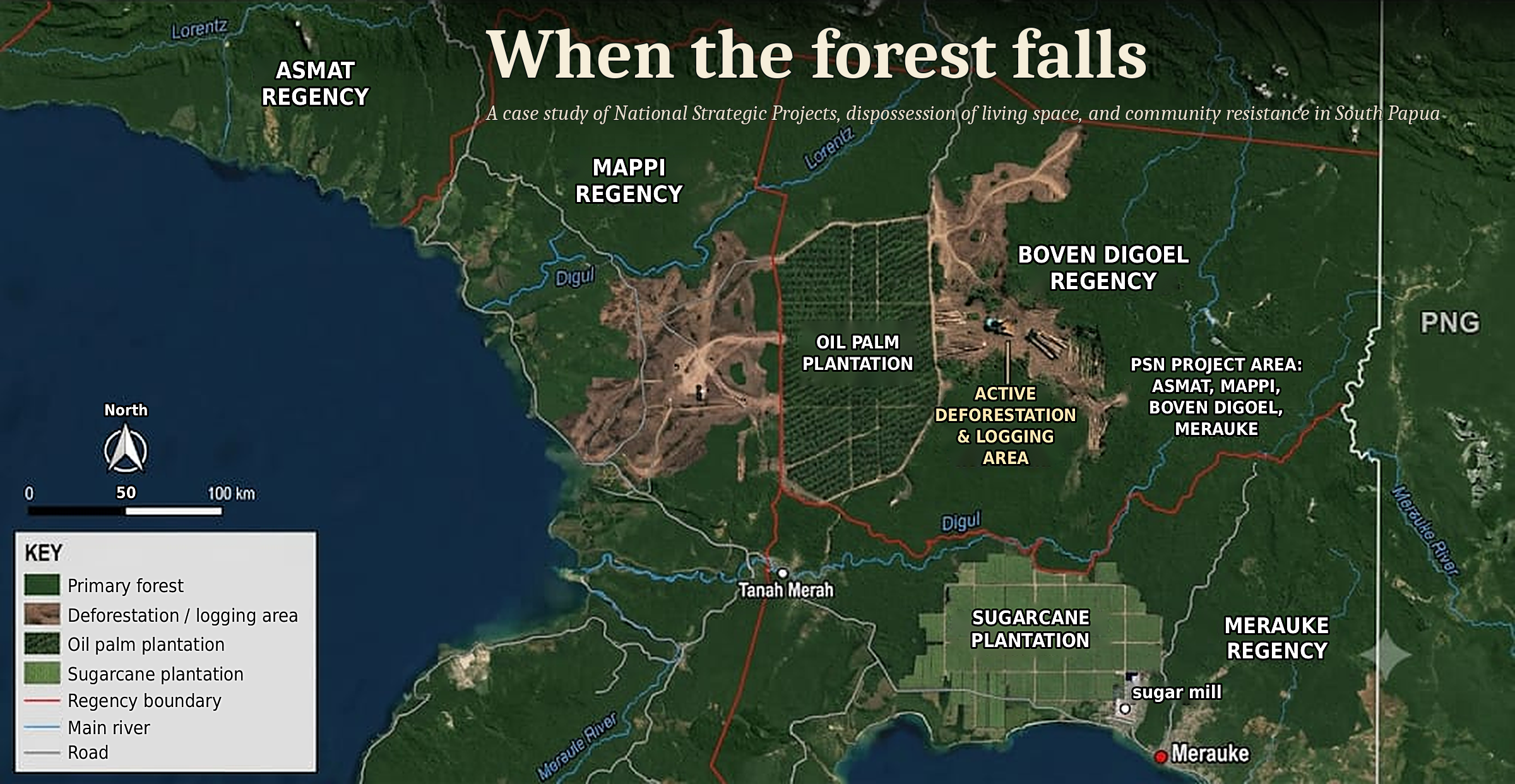 When the forest falls